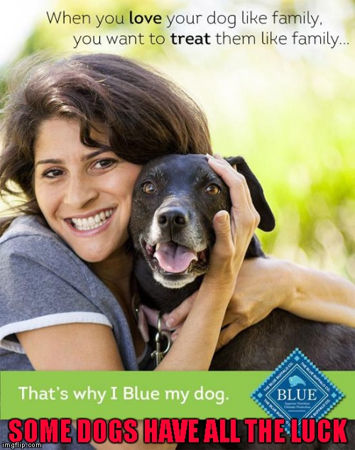 Some marketing Exec really blue that one!!! | SOME DOGS HAVE ALL THE LUCK | image tagged in blue dog food,memes,dogs,funny,blue,advertising fails | made w/ Imgflip meme maker