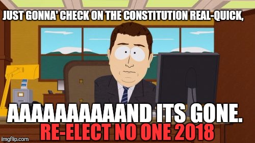 Aaaaand Its Gone | JUST GONNA' CHECK ON THE CONSTITUTION REAL-QUICK, AAAAAAAAAAND ITS GONE. RE-ELECT NO ONE 2018 | image tagged in memes,aaaaand its gone | made w/ Imgflip meme maker