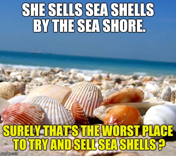 Selling sea shells by the sea shore | SHE SELLS SEA SHELLS BY THE SEA SHORE. SURELY THAT'S THE WORST PLACE TO TRY AND SELL SEA SHELLS ? | image tagged in sea shells,sea,beach,selling | made w/ Imgflip meme maker