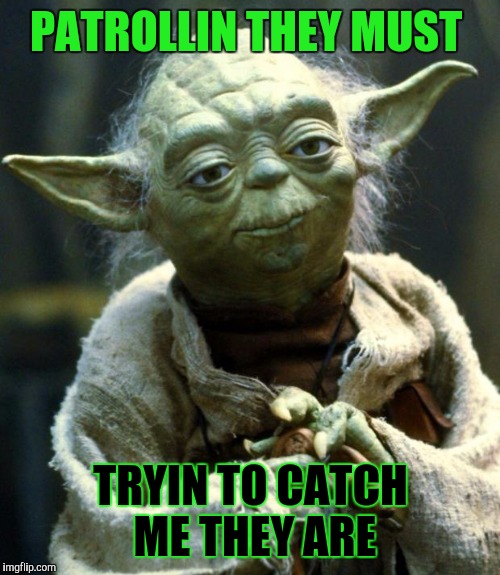 Star Wars Yoda Meme | PATROLLIN THEY MUST TRYIN TO CATCH ME THEY ARE | image tagged in memes,star wars yoda | made w/ Imgflip meme maker