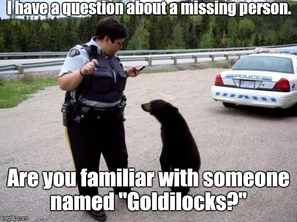 Cop With Cub | I have a question about a missing person. Are you familiar with someone named "Goldilocks?" | image tagged in cop with cub | made w/ Imgflip meme maker