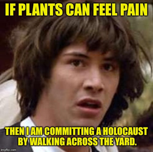 I hear muffled screaming... | IF PLANTS CAN FEEL PAIN; THEN I AM COMMITTING A HOLOCAUST BY WALKING ACROSS THE YARD. | image tagged in memes,conspiracy keanu,grass,dank memes,funny memes | made w/ Imgflip meme maker