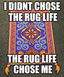 I DIDNT CHOSE THE RUG LIFE; THE RUG LIFE CHOSE ME | image tagged in aladdin rug | made w/ Imgflip meme maker
