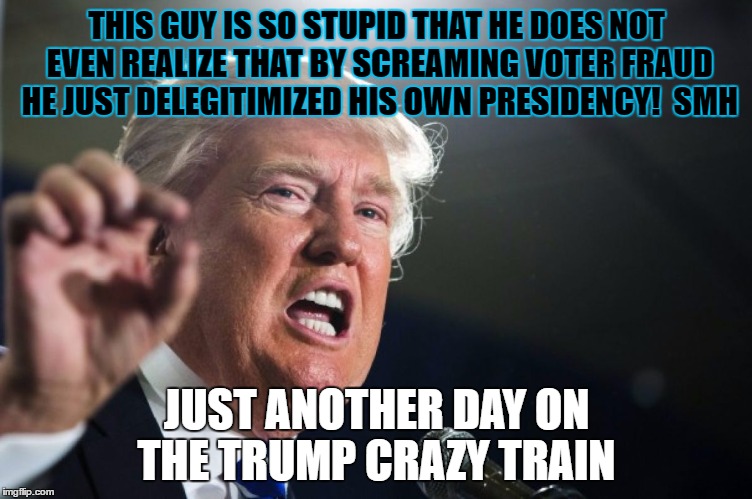 donald trump | THIS GUY IS SO STUPID THAT HE DOES NOT EVEN REALIZE THAT BY SCREAMING VOTER FRAUD HE JUST DELEGITIMIZED HIS OWN PRESIDENCY!  SMH; JUST ANOTHER DAY ON THE TRUMP CRAZY TRAIN | image tagged in donald trump | made w/ Imgflip meme maker