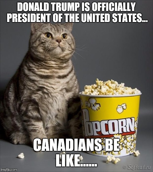 Cat eating popcorn | DONALD TRUMP IS OFFICIALLY PRESIDENT OF THE UNITED STATES... CANADIANS BE LIKE...... | image tagged in cat eating popcorn | made w/ Imgflip meme maker