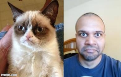 Template | image tagged in grumpy cat,two grumpy cats,funny memes,lol,lookalike | made w/ Imgflip meme maker