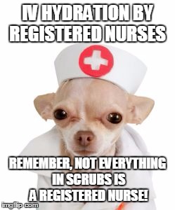 CHIHUAHUA NURSE | IV HYDRATION BY REGISTERED NURSES; REMEMBER, NOT EVERYTHING IN SCRUBS IS A REGISTERED NURSE! | image tagged in chihuahua nurse | made w/ Imgflip meme maker