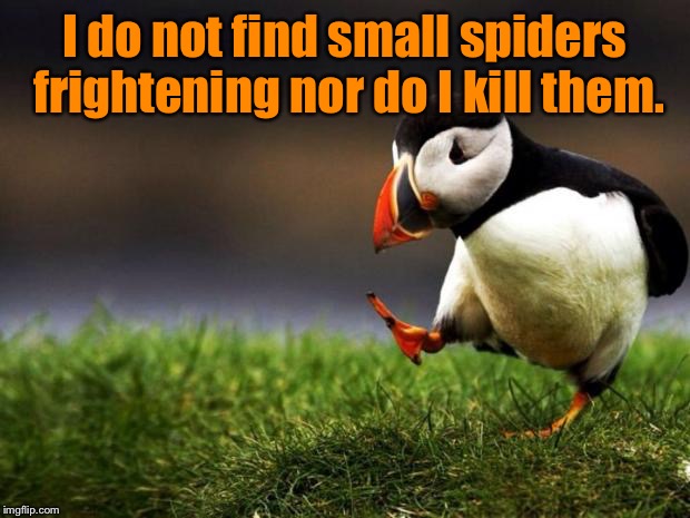 Unpopular Opinion Puffin Meme | I do not find small spiders frightening nor do I kill them. | image tagged in memes,unpopular opinion puffin | made w/ Imgflip meme maker