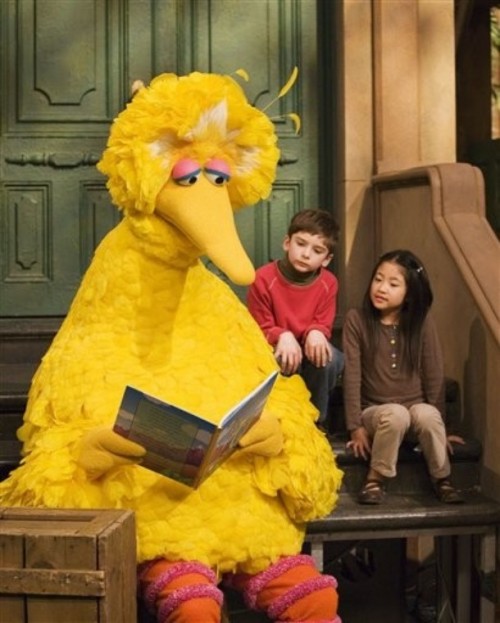 High Quality big bird Blank Meme Template