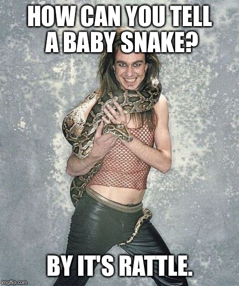 Fabulous Frank And His Snake |  HOW CAN YOU TELL A BABY SNAKE? BY IT'S RATTLE. | image tagged in memes,fabulous frank and his snake | made w/ Imgflip meme maker