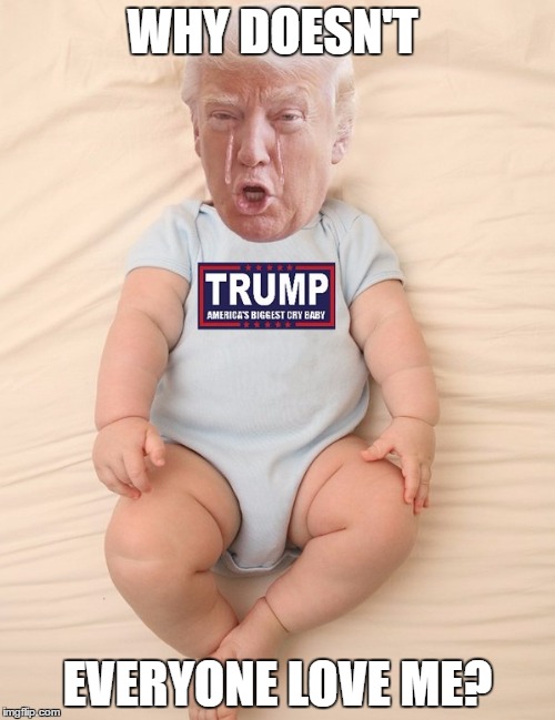 Crying Trump Baby | WHY DOESN'T; EVERYONE LOVE ME? | image tagged in crying trump baby | made w/ Imgflip meme maker