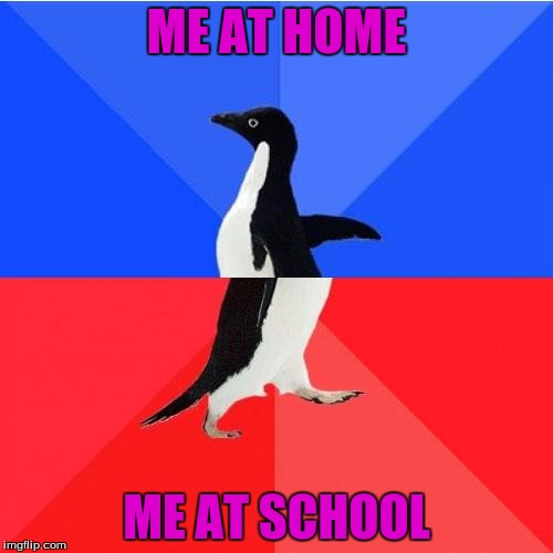 Just A Basic Meme | ME AT HOME; ME AT SCHOOL | image tagged in memes,socially awkward awesome penguin | made w/ Imgflip meme maker