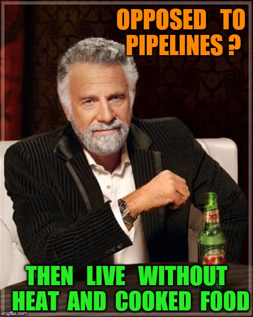 The Most Interesting Man In The World | OPPOSED   TO  PIPELINES ? THEN   LIVE   WITHOUT  HEAT  AND  COOKED  FOOD | image tagged in memes,the most interesting man in the world | made w/ Imgflip meme maker