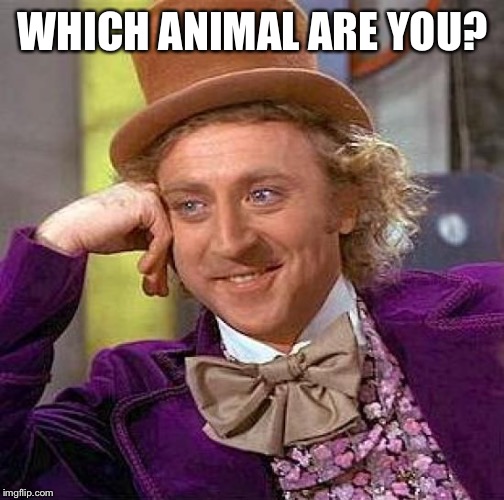 Creepy Condescending Wonka Meme | WHICH ANIMAL ARE YOU? | image tagged in memes,creepy condescending wonka | made w/ Imgflip meme maker