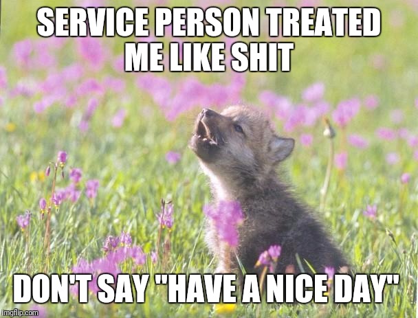 Baby Insanity Wolf | SERVICE PERSON TREATED ME LIKE SHIT; DON'T SAY "HAVE A NICE DAY" | image tagged in memes,baby insanity wolf,AdviceAnimals | made w/ Imgflip meme maker