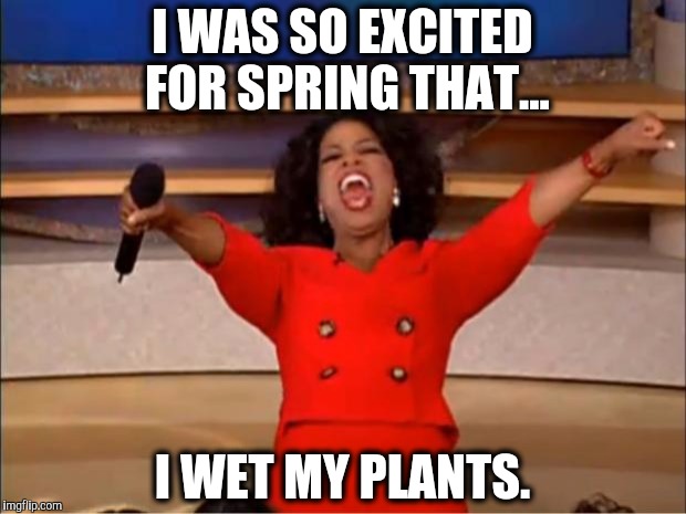 Bad puns strike again! | I WAS SO EXCITED FOR SPRING THAT... I WET MY PLANTS. | image tagged in memes,bad pun,puns,random | made w/ Imgflip meme maker