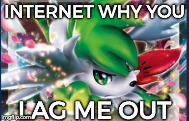 Shaymin Card | INTERNET WHY YOU; LAG ME OUT | image tagged in shaymin card | made w/ Imgflip meme maker