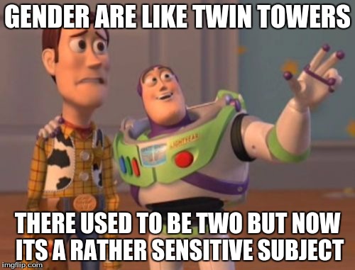 X, X Everywhere | GENDER ARE LIKE TWIN TOWERS; THERE USED TO BE TWO BUT NOW ITS A RATHER SENSITIVE SUBJECT | image tagged in memes,x x everywhere | made w/ Imgflip meme maker