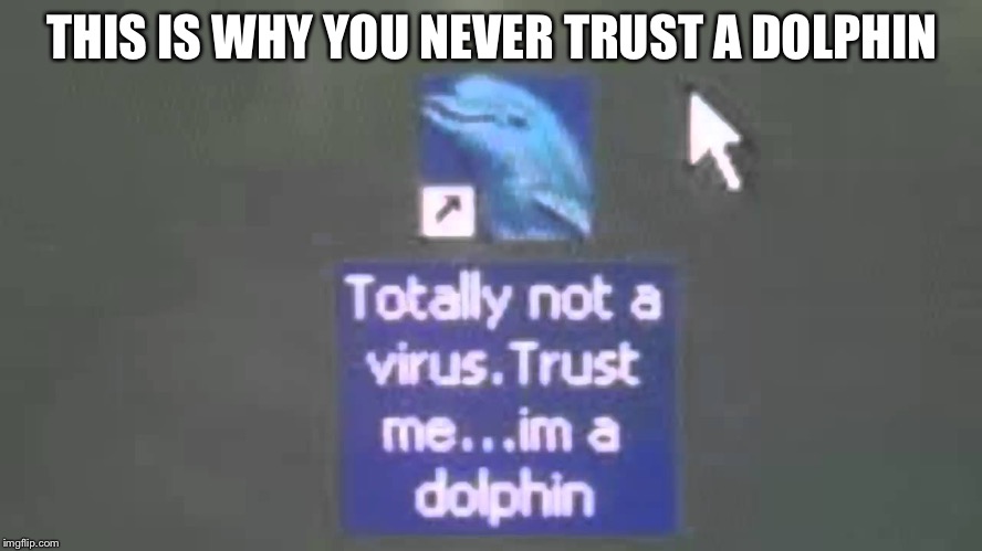 Dolphin virus. | THIS IS WHY YOU NEVER TRUST A DOLPHIN | image tagged in dolphin virus | made w/ Imgflip meme maker