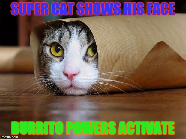 burrito cat | SUPER CAT SHOWS HIS FACE; BURRITO POWERS ACTIVATE | image tagged in burrito cat | made w/ Imgflip meme maker
