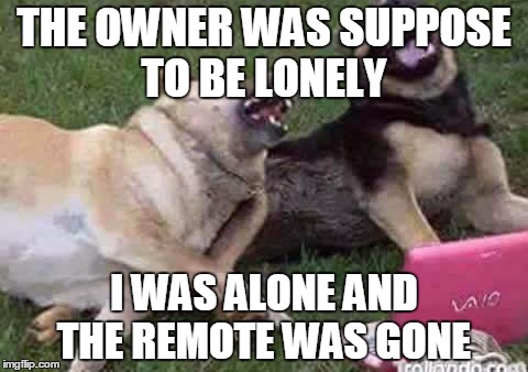 Dogs Laughing | THE OWNER WAS SUPPOSE TO BE LONELY; I WAS ALONE AND THE REMOTE WAS GONE | image tagged in dogs laughing | made w/ Imgflip meme maker
