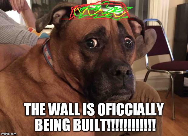 sorry I cant draw a sombrero... | THE WALL IS OFICCIALLY BEING BUILT!!!!!!!!!!!! | image tagged in oh crap dog | made w/ Imgflip meme maker