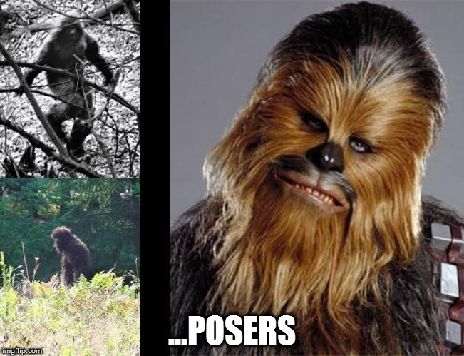 ChewieBigFoot | ...POSERS | image tagged in chewiebigfoot | made w/ Imgflip meme maker