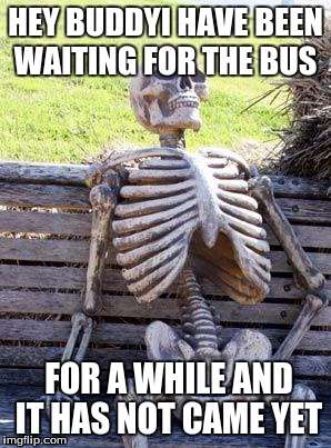 Waiting Skeleton | HEY BUDDYI HAVE BEEN WAITING FOR THE BUS; FOR A WHILE AND IT HAS NOT CAME YET | image tagged in memes,waiting skeleton | made w/ Imgflip meme maker
