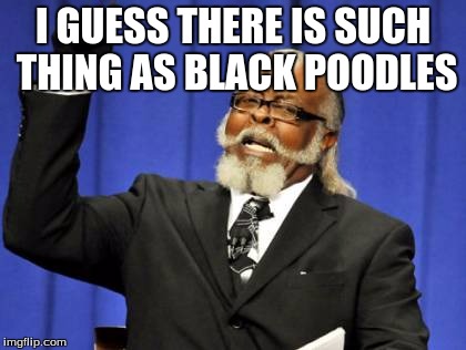 Too Damn High | I GUESS THERE IS SUCH THING AS BLACK POODLES | image tagged in memes,too damn high | made w/ Imgflip meme maker
