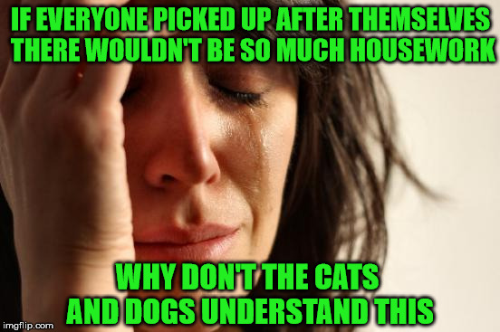 If Everyone Would Just Pick Up After Themselves | IF EVERYONE PICKED UP AFTER THEMSELVES THERE WOULDN'T BE SO MUCH HOUSEWORK; WHY DON'T THE CATS AND DOGS UNDERSTAND THIS | image tagged in memes,first world problems,housework,picking up after yourself,cats and dogs | made w/ Imgflip meme maker