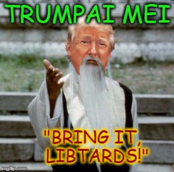 Trumpai Mei versus The Libtards!
 | TRUMPAI MEI; "BRING IT, 
LIBTARDS!" | image tagged in trumpai mei,libtards | made w/ Imgflip meme maker