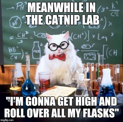 Chemistry Cat Meme | MEANWHILE IN THE CATNIP LAB; "I'M GONNA GET HIGH AND ROLL OVER ALL MY FLASKS" | image tagged in memes,chemistry cat | made w/ Imgflip meme maker