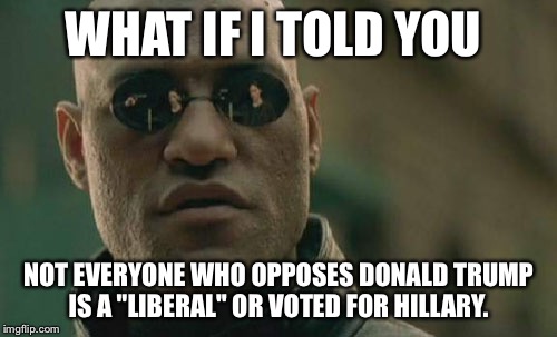Matrix Morpheus Meme | WHAT IF I TOLD YOU; NOT EVERYONE WHO OPPOSES DONALD TRUMP IS A "LIBERAL" OR VOTED FOR HILLARY. | image tagged in memes,matrix morpheus | made w/ Imgflip meme maker