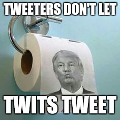 Trump Toilet Paper | TWEETERS DON'T LET; TWITS TWEET | image tagged in trump toilet paper | made w/ Imgflip meme maker