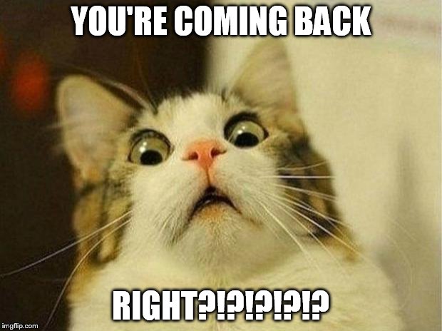 Scared Cat | YOU'RE COMING BACK; RIGHT?!?!?!?!? | image tagged in memes,scared cat | made w/ Imgflip meme maker