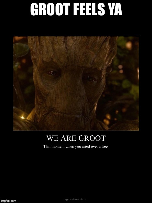 GROOT FEELS YA | image tagged in we are groot | made w/ Imgflip meme maker