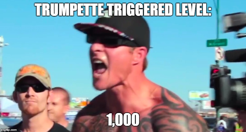 Trumpette Triggered Level | TRUMPETTE TRIGGERED LEVEL:; 1,000 | image tagged in tumrp,donald trump approves,triggered | made w/ Imgflip meme maker