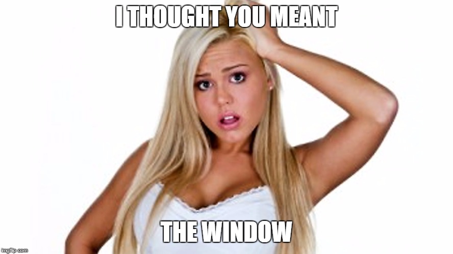 I THOUGHT YOU MEANT THE WINDOW | made w/ Imgflip meme maker
