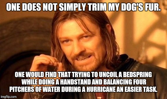 One Does Not Simply | ONE DOES NOT SIMPLY TRIM MY DOG'S FUR. ONE WOULD FIND THAT TRYING TO UNCOIL A BEDSPRING WHILE DOING A HANDSTAND AND BALANCING FOUR PITCHERS OF WATER DURING A HURRICANE AN EASIER TASK. | image tagged in memes,one does not simply | made w/ Imgflip meme maker