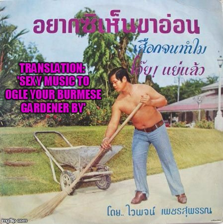 Bad Album Art Week: my last submission - thanks to all who participated, it's been a blast!  | TRANSLATION: 'SEXY MUSIC TO OGLE YOUR BURMESE GARDENER BY' | image tagged in bad album art week,bad album art,memes | made w/ Imgflip meme maker