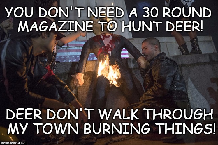 30 round mag | YOU DON'T NEED A 30 ROUND MAGAZINE TO HUNT DEER! DEER DON'T WALK THROUGH MY TOWN BURNING THINGS! | image tagged in trumpprotestlick,violent protest,deer hunting,2a rights | made w/ Imgflip meme maker