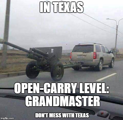 We have the second amendment to protect us from the idiots who don't understand the first amendment. | IN TEXAS; OPEN-CARRY LEVEL: GRANDMASTER; DON'T MESS WITH TEXAS | image tagged in texas open carry,don't mess with texas | made w/ Imgflip meme maker
