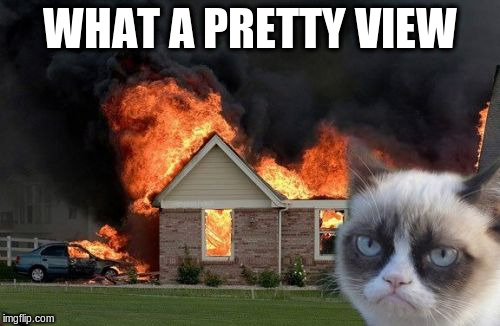 Burn Kitty | WHAT A PRETTY VIEW | image tagged in memes,burn kitty,grumpy cat | made w/ Imgflip meme maker