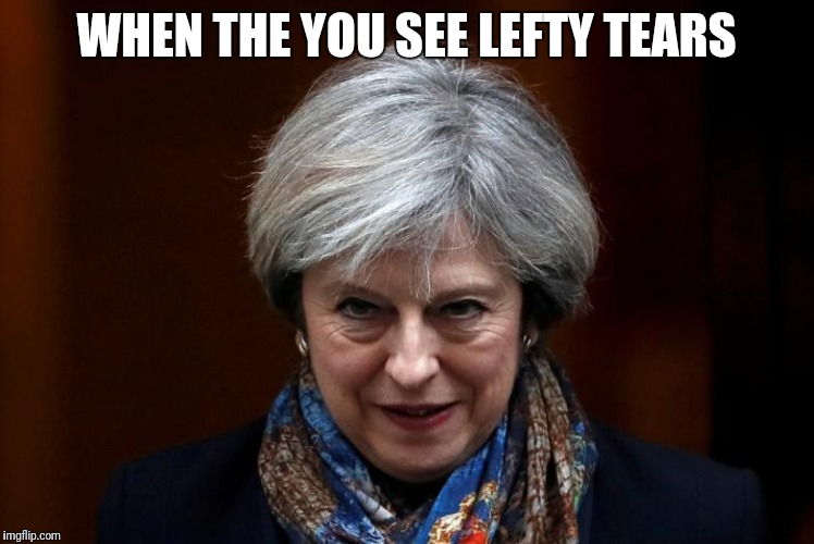 WHEN THE YOU SEE LEFTY TEARS | image tagged in left wing,tears,theresa may,right wing,politics | made w/ Imgflip meme maker