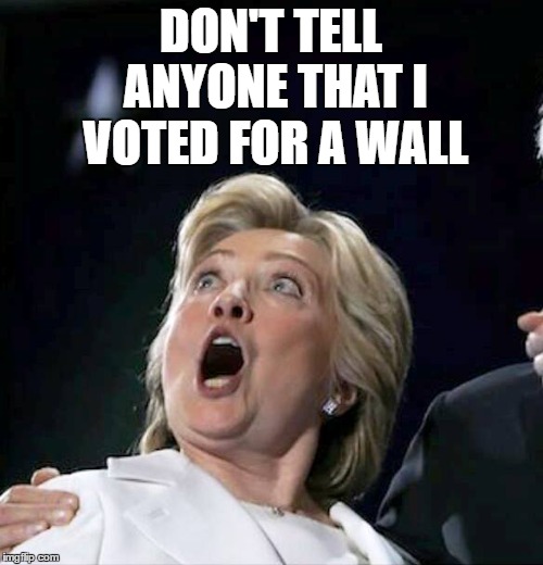 DON'T TELL ANYONE THAT I VOTED FOR A WALL | made w/ Imgflip meme maker