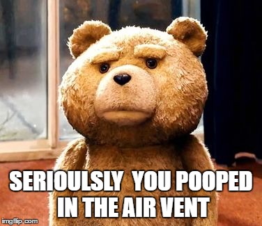 TED | SERIOULSLY  YOU POOPED IN THE AIR VENT | image tagged in memes,ted | made w/ Imgflip meme maker