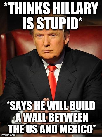 Serious Trump | *THINKS HILLARY IS STUPID*; *SAYS HE WILL BUILD A WALL BETWEEN THE US AND MEXICO* | image tagged in serious trump | made w/ Imgflip meme maker
