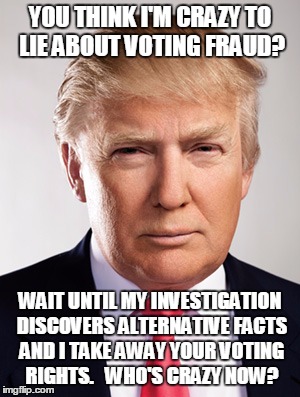 Donald Trump | YOU THINK I'M CRAZY TO LIE ABOUT VOTING FRAUD? WAIT UNTIL MY INVESTIGATION DISCOVERS ALTERNATIVE FACTS AND I TAKE AWAY YOUR VOTING RIGHTS.   WHO'S CRAZY NOW? | image tagged in donald trump | made w/ Imgflip meme maker