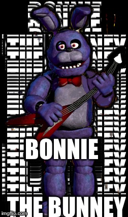 Bonnie | BONNIE; THE BUNNEY | image tagged in bunny | made w/ Imgflip meme maker