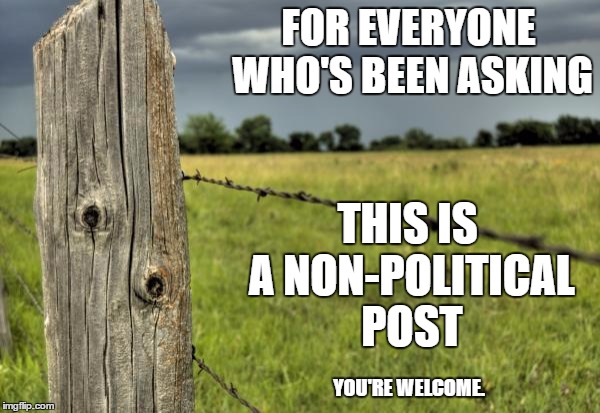 Let's get this one out of the way so we can continue sniping at each other. | FOR EVERYONE WHO'S BEEN ASKING; THIS IS A NON-POLITICAL POST; YOU'RE WELCOME. | image tagged in fence post,non political | made w/ Imgflip meme maker